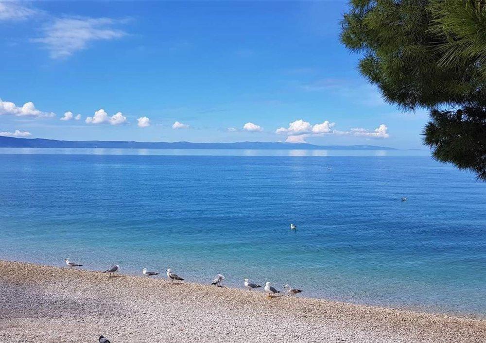 Apartmani Mirona - Tučepi Eksteriør bilde